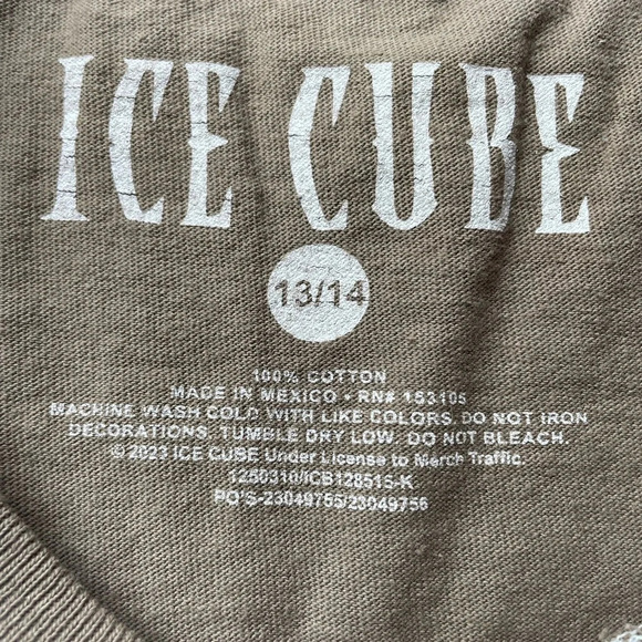 Ice Cube Crop Boxy Cotton Tee - Picture 7 of 8